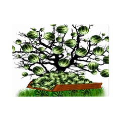 Watermelon Tree Abstraction On Watermelon Abundance Premium Plush Fleece Blanket (mini) by pakminggu