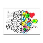 Brain Left Logic Language Science Sticker A4 (100 pack) Front