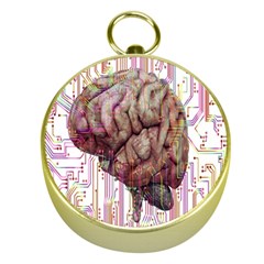 Brain Think Neurons Circuit Gold Compasses by pakminggu