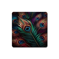 Peacock Feathers Nature Feather Pattern Square Magnet by pakminggu