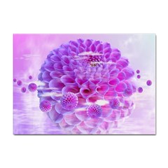 Dahlia Blossom Bloom Dahlias Fall Sticker A4 (100 Pack)