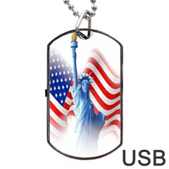 Statue Of Liberty And Usa Flag Art Dog Tag Usb Flash (one Side) by danenraven