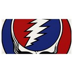 Grateful Dead Banner and Sign 4  x 2  Front