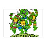 Teenage Mutant Ninja Turtles Sticker A4 (10 pack) Front