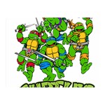 Teenage Mutant Ninja Turtles Two Sides Premium Plush Fleece Blanket (Mini) 35 x27  Blanket Front