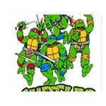 Teenage Mutant Ninja Turtles Premium Plush Fleece Blanket (Large) 80 x60  Blanket Front