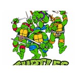 Teenage Mutant Ninja Turtles Two Sides Premium Plush Fleece Blanket (Extra Small) 40 x30  Blanket Back