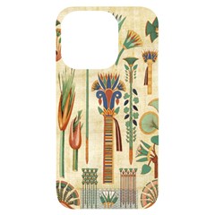 Egyptian Paper Papyrus Hieroglyphs Iphone 14 Pro Black Uv Print Case by Mog4mog4