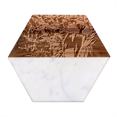 Lion Furious Abstract Desing Furious Marble Wood Coaster (hexagon) 