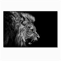 Roar Angry Male Lion Black Postcard 4 x 6  (pkg Of 10) by Mog4mog4