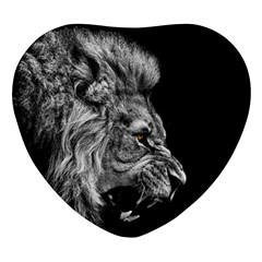 Roar Angry Male Lion Black Heart Glass Fridge Magnet (4 Pack)