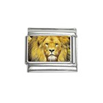 Lion Lioness Wildlife Hunter Italian Charm (9mm) Front