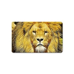 Lion Lioness Wildlife Hunter Magnet (name Card) by Mog4mog4