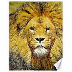 Lion Lioness Wildlife Hunter Canvas 18  X 24  by Mog4mog4