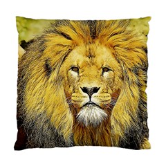 Lion Lioness Wildlife Hunter Standard Cushion Case (one Side) by Mog4mog4