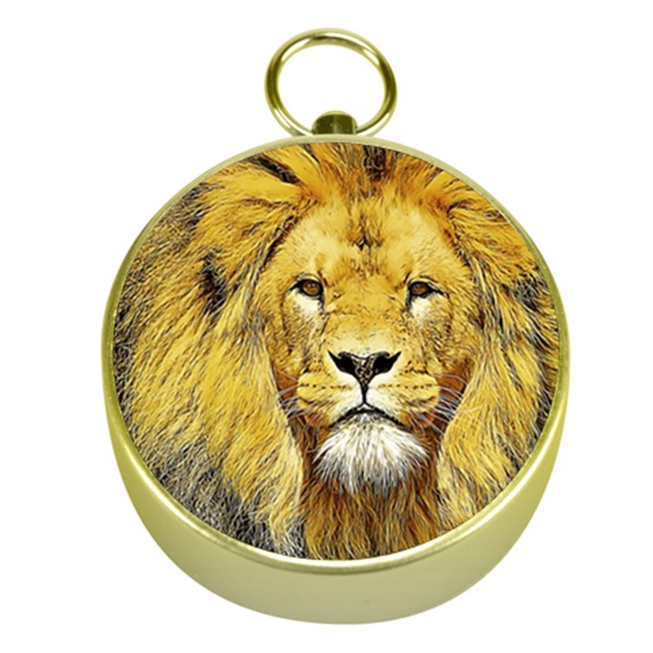 Lion Lioness Wildlife Hunter Gold Compasses