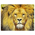 Lion Lioness Wildlife Hunter Premium Plush Fleece Blanket (Medium) 60 x50  Blanket Front