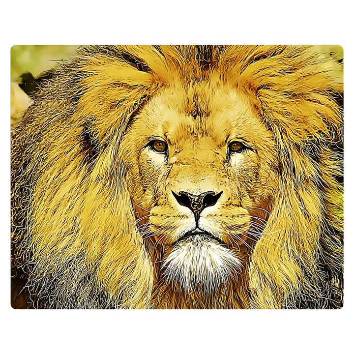 Lion Lioness Wildlife Hunter Premium Plush Fleece Blanket (Medium)