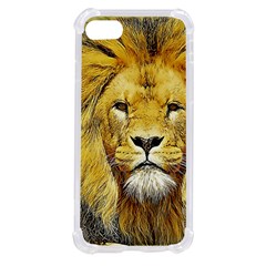 Lion Lioness Wildlife Hunter Iphone Se