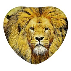 Lion Lioness Wildlife Hunter Heart Glass Fridge Magnet (4 Pack) by Mog4mog4