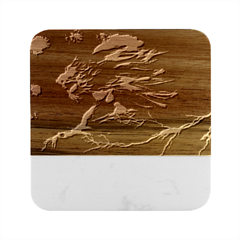 Fire Lion Flames Light Mystical Dangerous Wild Marble Wood Coaster (square)