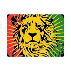 Lion Head Africa Rasta Premium Plush Fleece Blanket (mini) by Mog4mog4