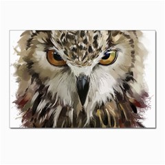 Vector Hand Painted Owl Postcard 4 x 6  (pkg Of 10) by Mog4mog4