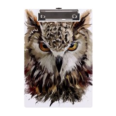 Vector Hand Painted Owl A5 Acrylic Clipboard by Mog4mog4