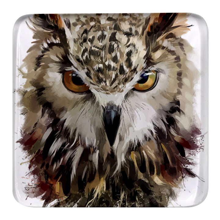 Vector Hand Painted Owl Square Glass Fridge Magnet (4 pack)