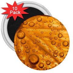 Lime Water Bubbles Macro Light Detail Background 3  Magnets (10 pack) 