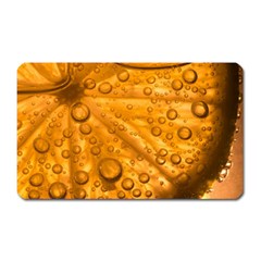 Lime Water Bubbles Macro Light Detail Background Magnet (Rectangular)