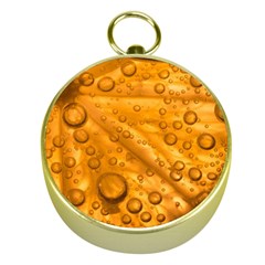 Lime Water Bubbles Macro Light Detail Background Gold Compasses