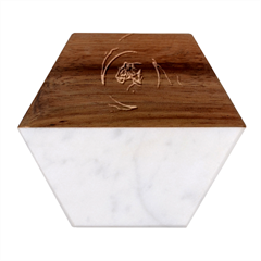 Orange Tiger Illustration Artwork Digital Art Marble Wood Coaster (hexagon) 