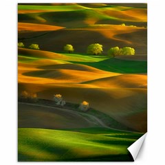 Landscape Usa Nature Washington State Trees Field Palouse Canvas 16  X 20  by Bakwanart