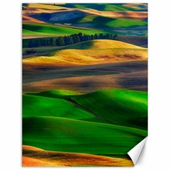 Grassland Nature Palouse Green Field Hill Sky Butte Canvas 12  X 16  by Bakwanart