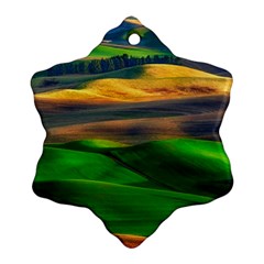 Grassland Nature Palouse Green Field Hill Sky Butte Snowflake Ornament (two Sides) by Bakwanart