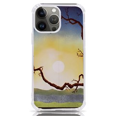 1 (202) Iphone 13 Pro Max Tpu Uv Print Case