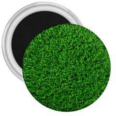 Green Grass Texture Summer 3  Magnets by 99art