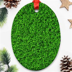 Green Grass Texture Summer Ornament (oval) by 99art