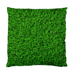 Green Grass Texture Summer Standard Cushion Case (one Side) by 99art