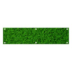 Green Grass Texture Summer Banner And Sign 4  X 1  by 99art