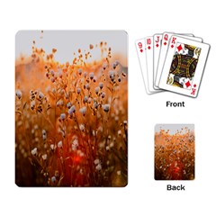 Late Afternoon Playing Cards Single Design (rectangle)