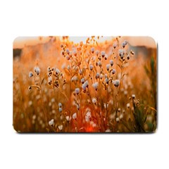 Late Afternoon Small Doormat by artworkshop