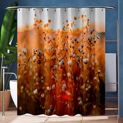 Late Afternoon Shower Curtain 60  X 72  (medium)  by artworkshop