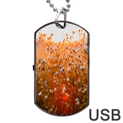 Late Afternoon Dog Tag Usb Flash (two Sides) by artworkshop