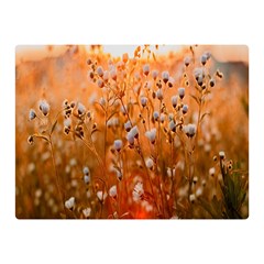 Late Afternoon Two Sides Premium Plush Fleece Blanket (mini) by artworkshop