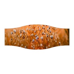 Late Afternoon Stretchable Headband