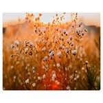 Late Afternoon Premium Plush Fleece Blanket (Medium) 60 x50  Blanket Front