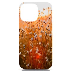 Late Afternoon Iphone 14 Pro Max Black Uv Print Case by artworkshop