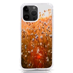 Late Afternoon Iphone 14 Pro Max Tpu Uv Print Case by artworkshop